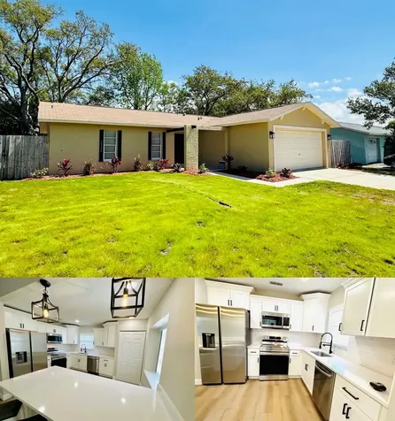 10320 White Cedar Street Port Richey FL 34668