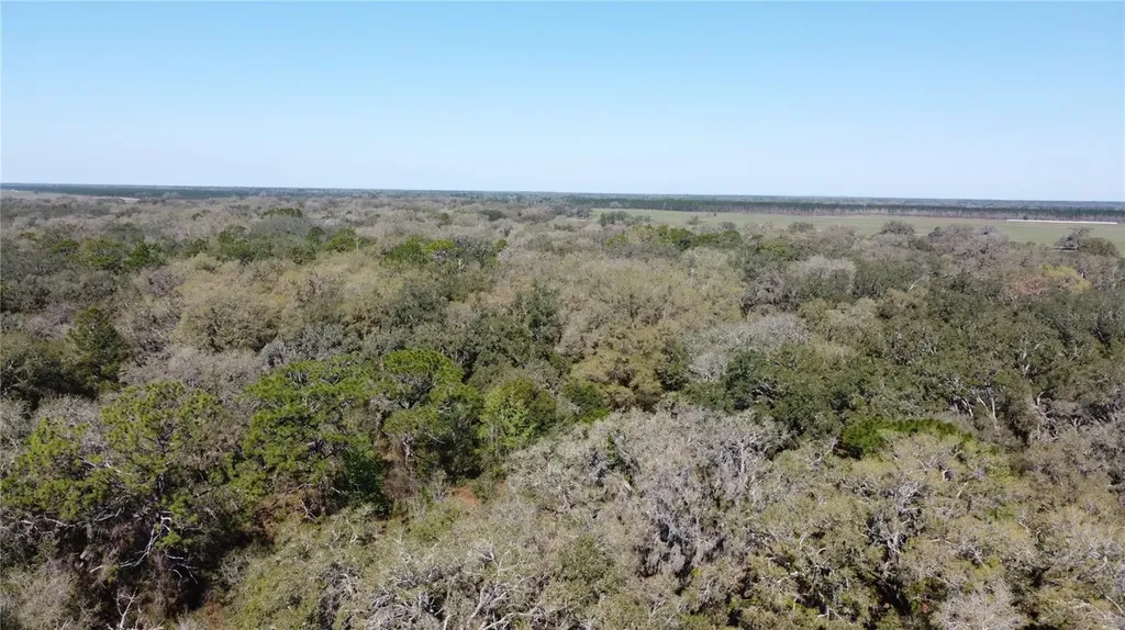 01 Unnamed Spring Hill FL 34610