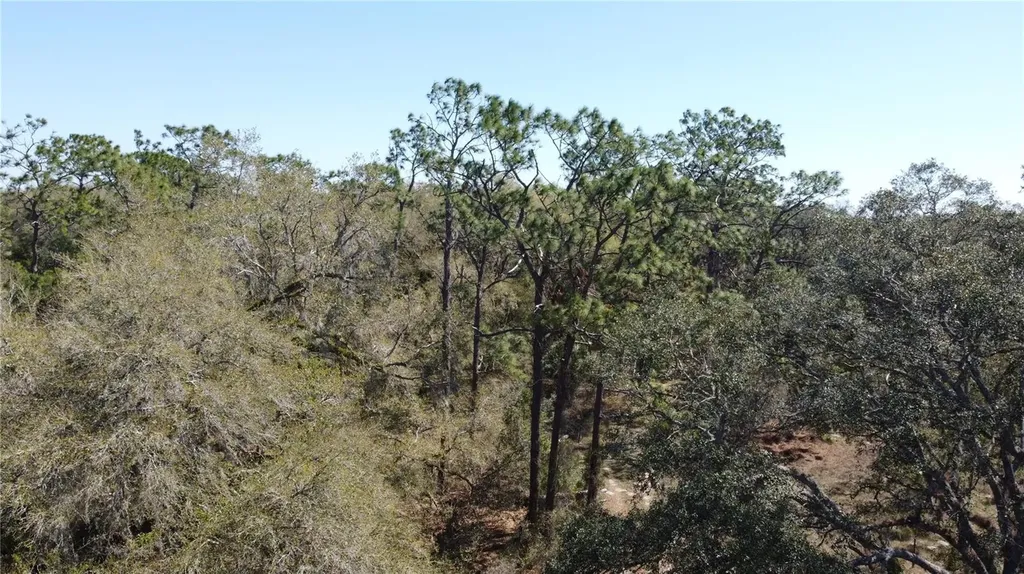 01 Unnamed Spring Hill FL 34610