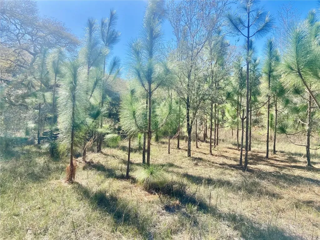 01 Unnamed Spring Hill FL 34610