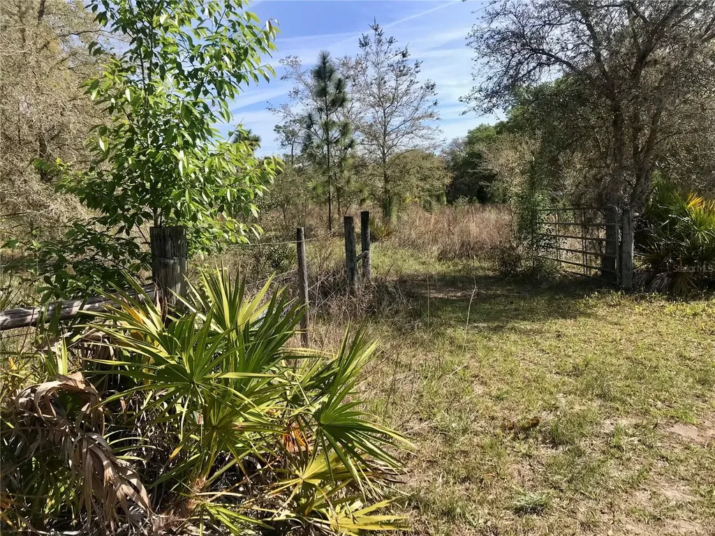 01 Unnamed Spring Hill FL 34610