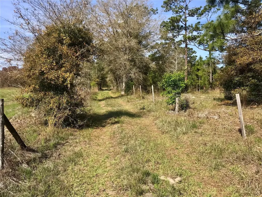 01 Unnamed Spring Hill FL 34610