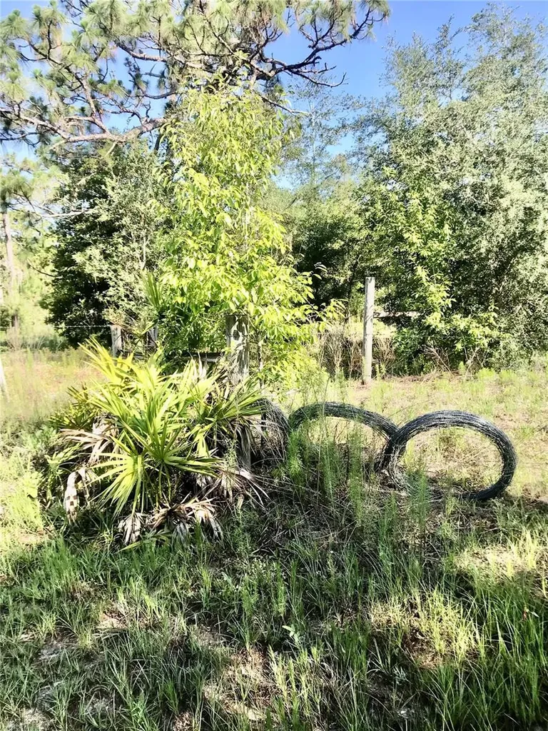 01 Unnamed Spring Hill FL 34610