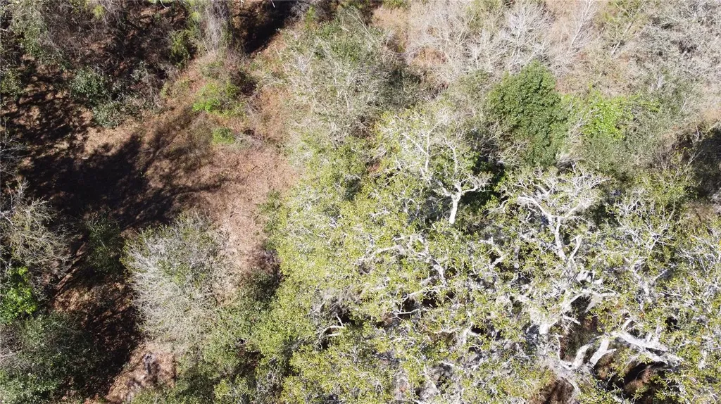 01 Unnamed Spring Hill FL 34610