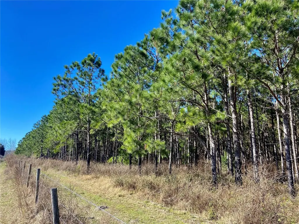 01 Unnamed Spring Hill FL 34610