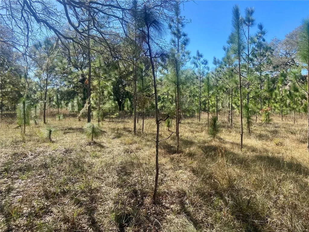 01 Unnamed Spring Hill FL 34610