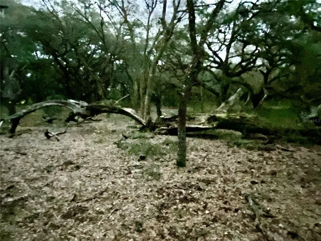 01 Unnamed Spring Hill FL 34610