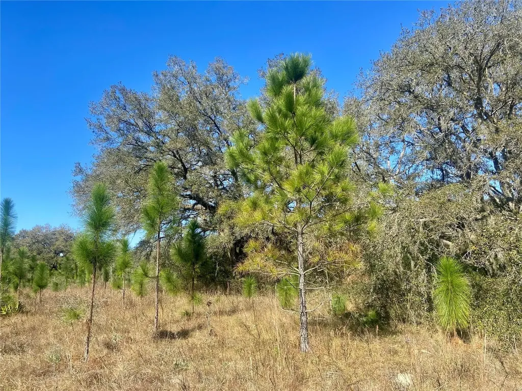 01 Unnamed Spring Hill FL 34610
