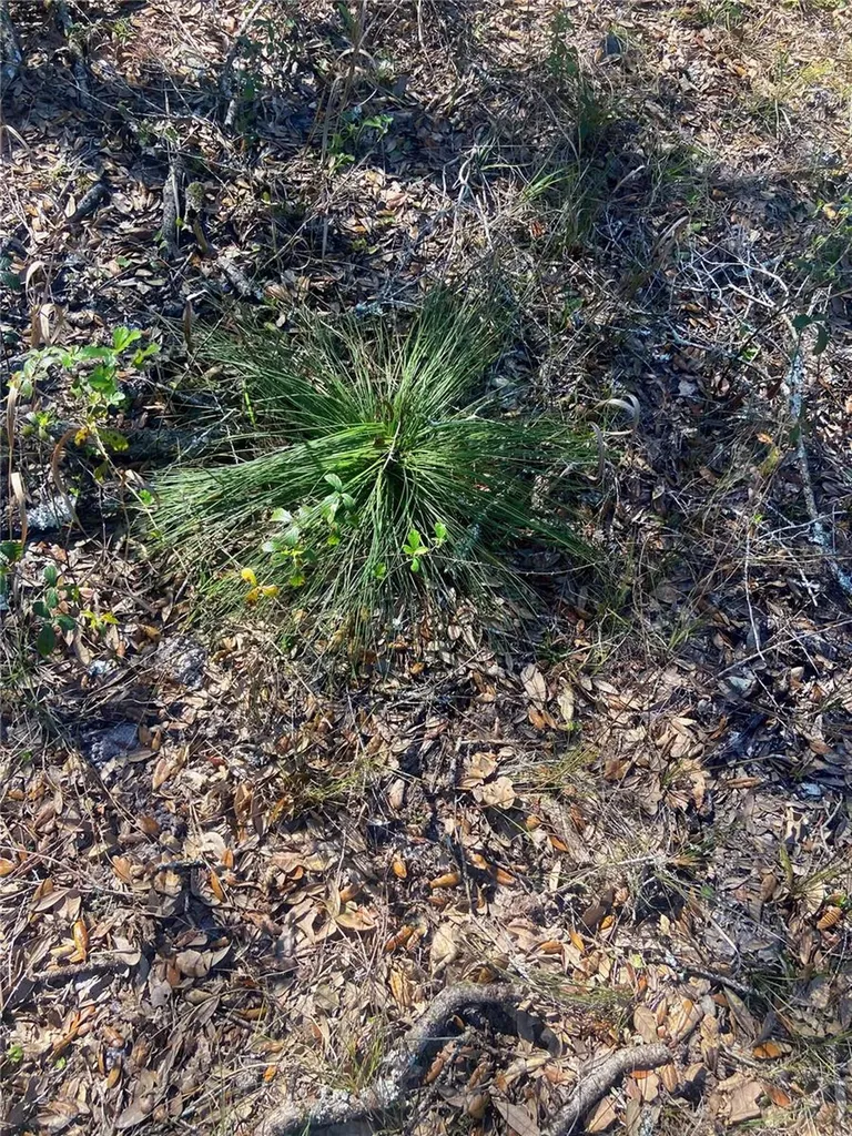 01 Unnamed Spring Hill FL 34610