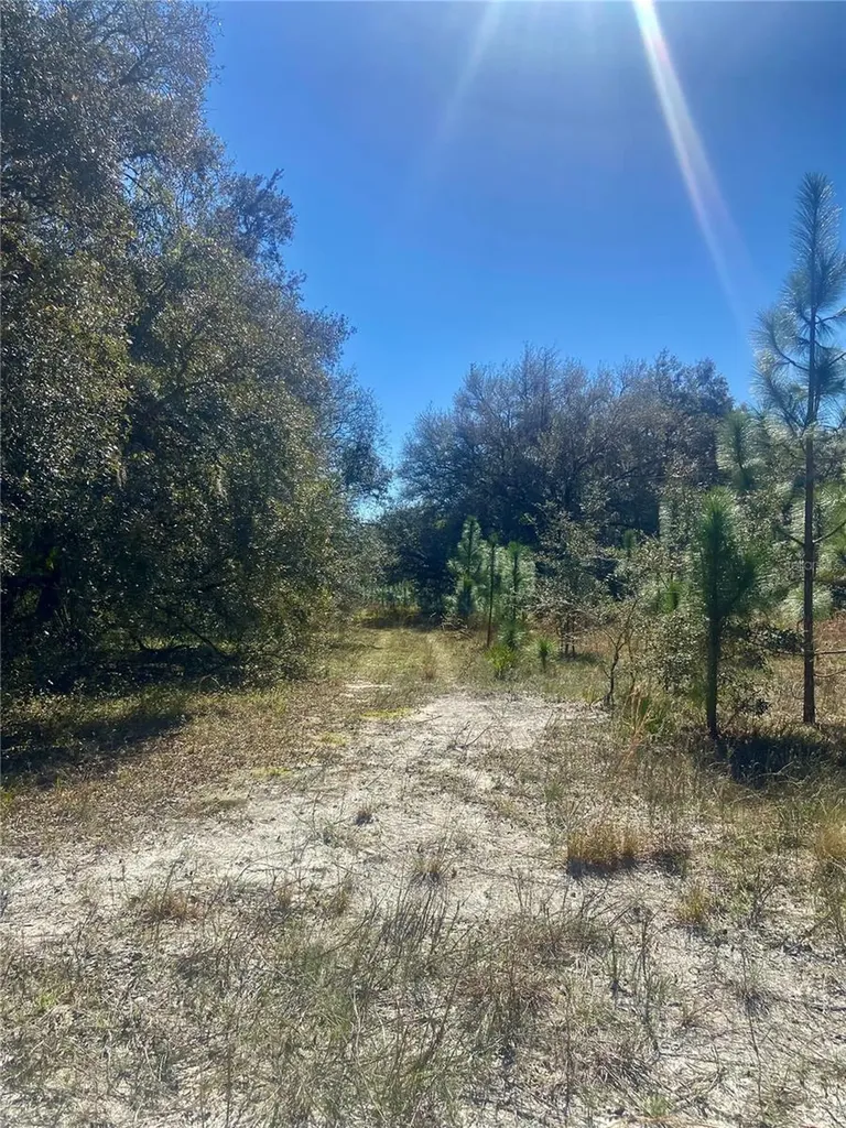 01 Unnamed Spring Hill FL 34610