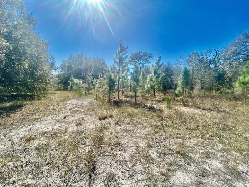 01 Unnamed Spring Hill FL 34610