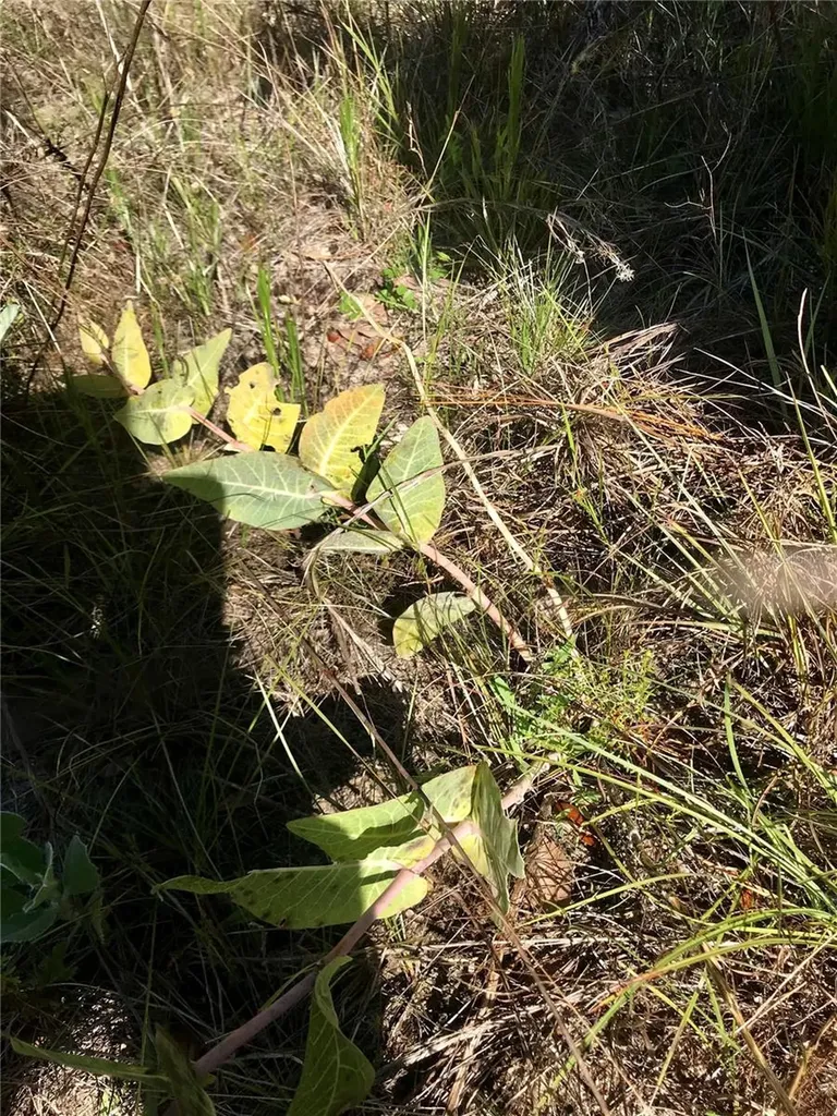 01 Unnamed Spring Hill FL 34610