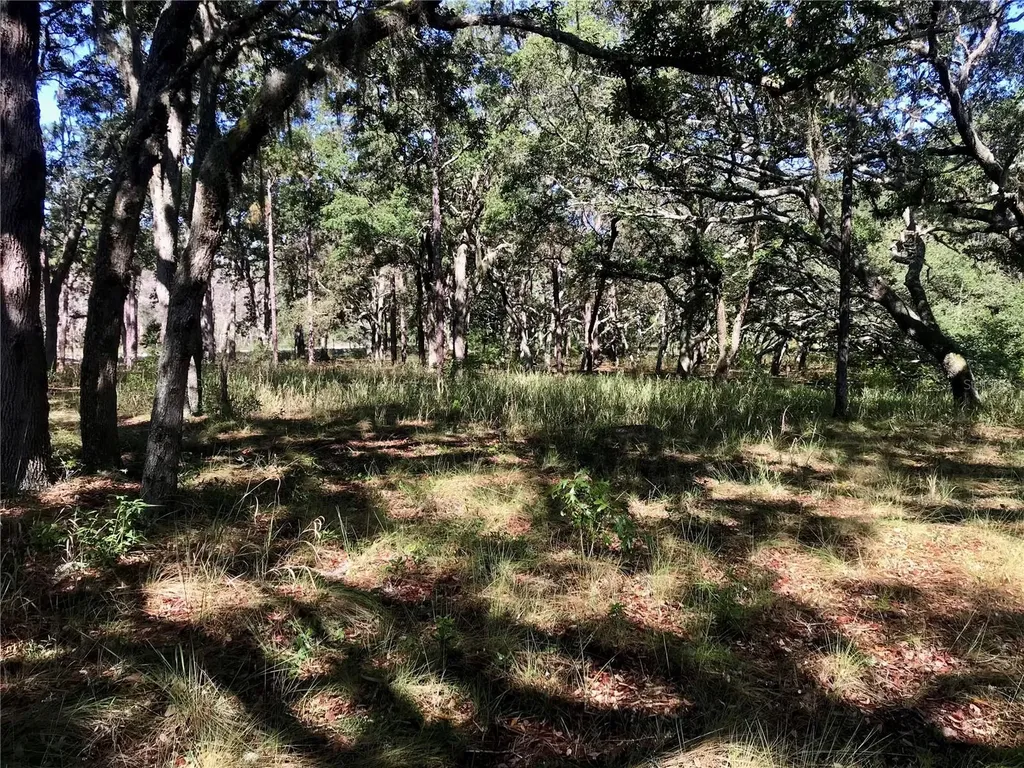 01 Unnamed Spring Hill FL 34610