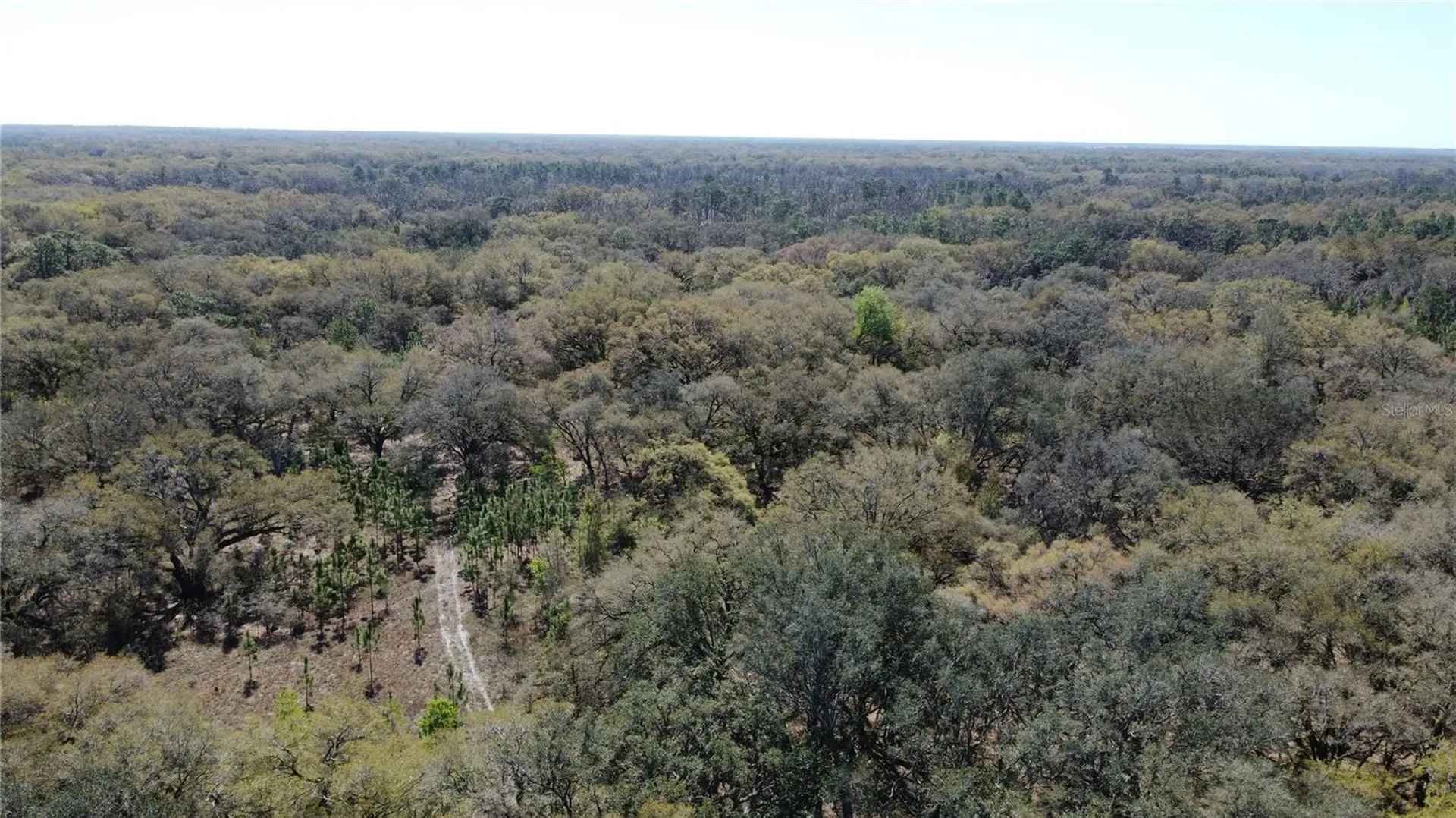 01 Unnamed Spring Hill FL 34610
