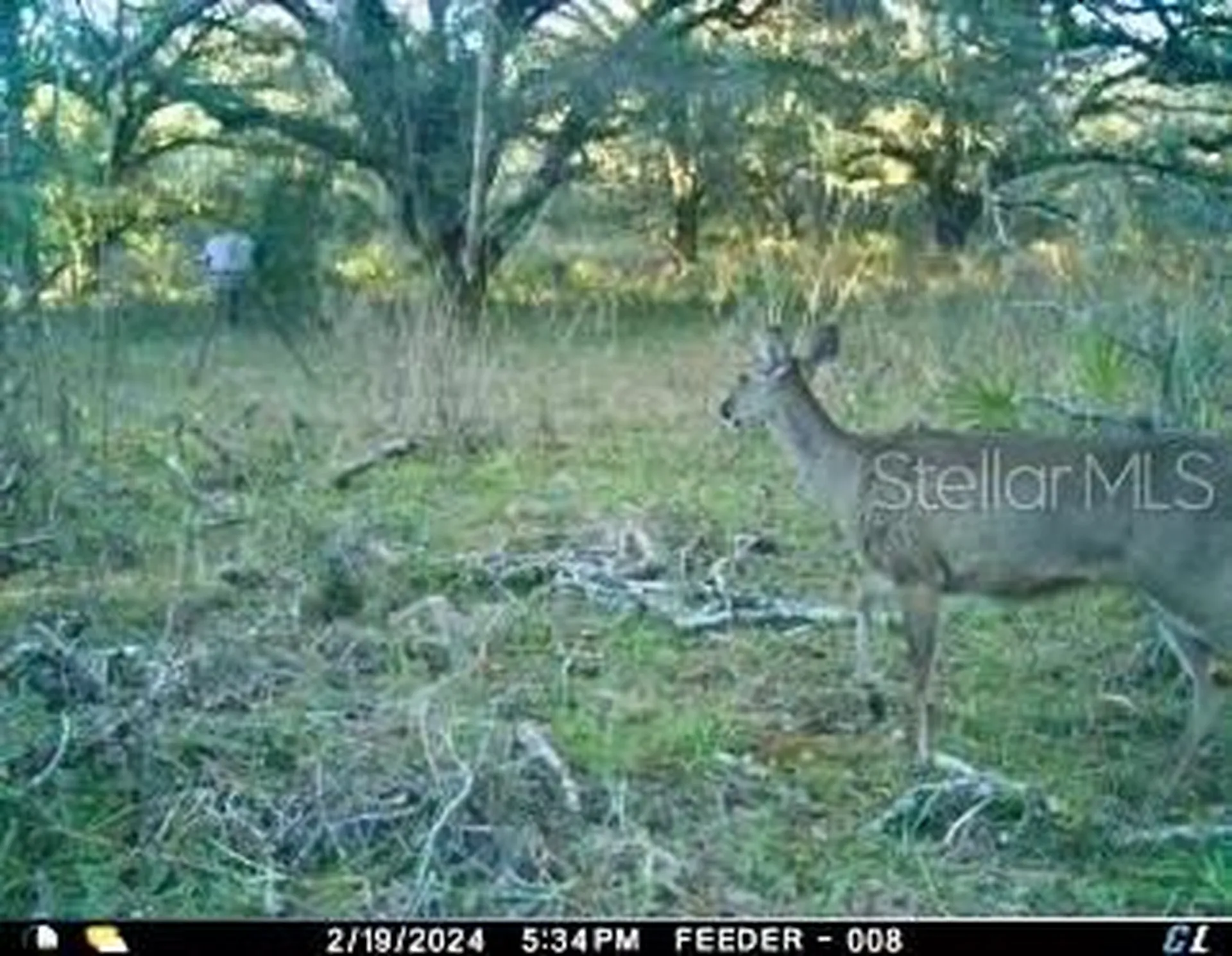 01 Unnamed Spring Hill FL 34610
