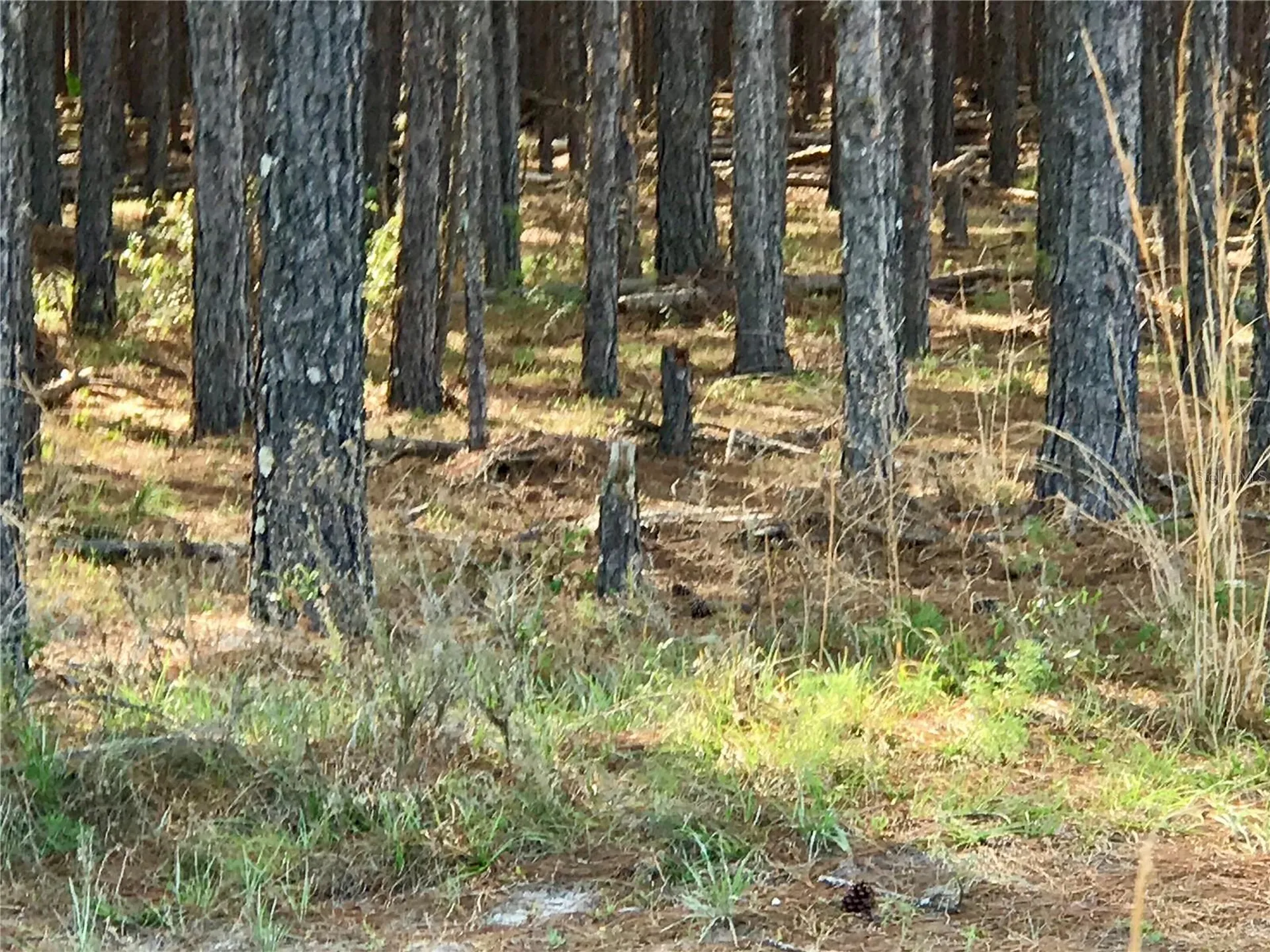 01 Unnamed Spring Hill FL 34610
