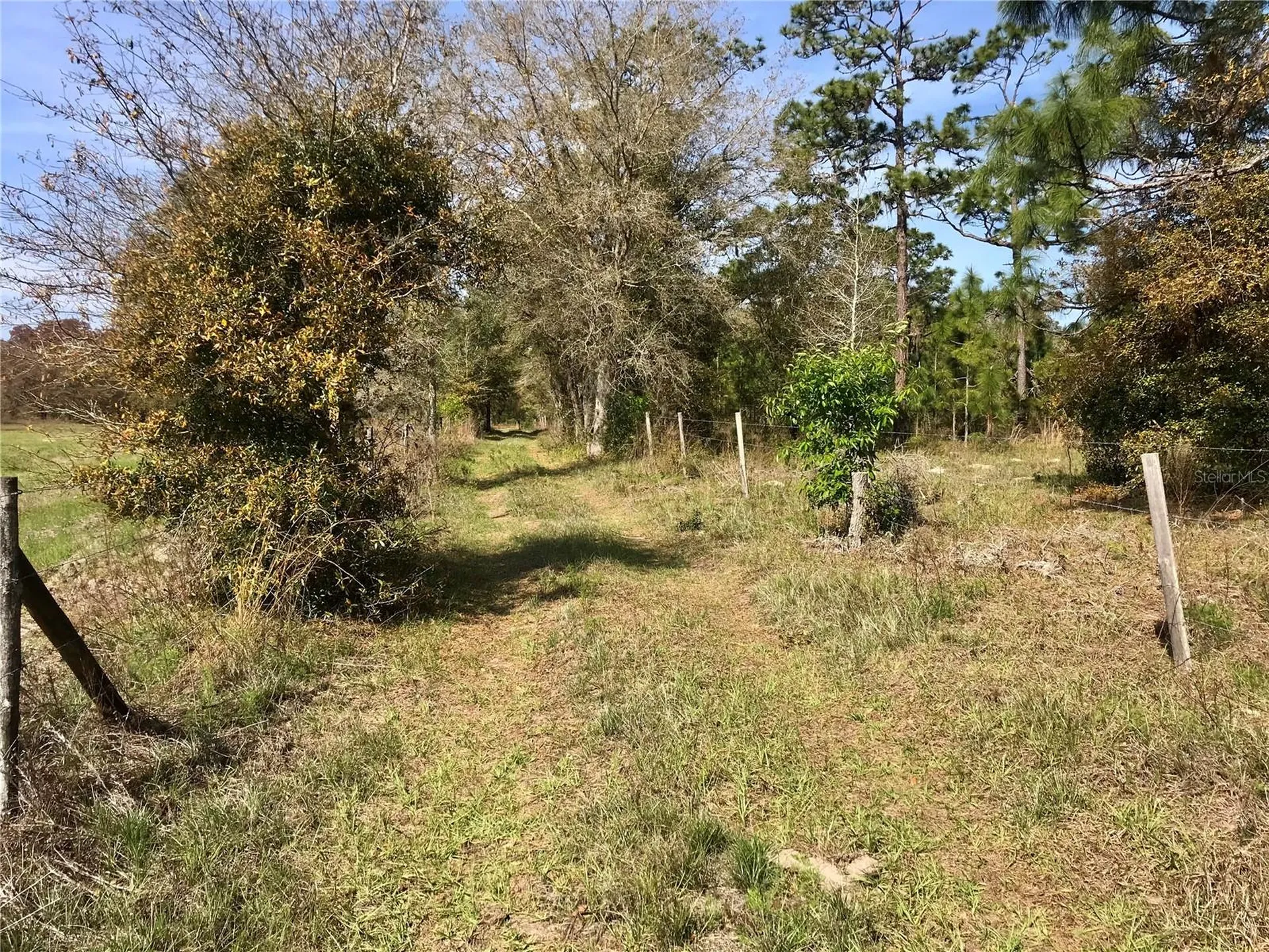 01 Unnamed Spring Hill FL 34610