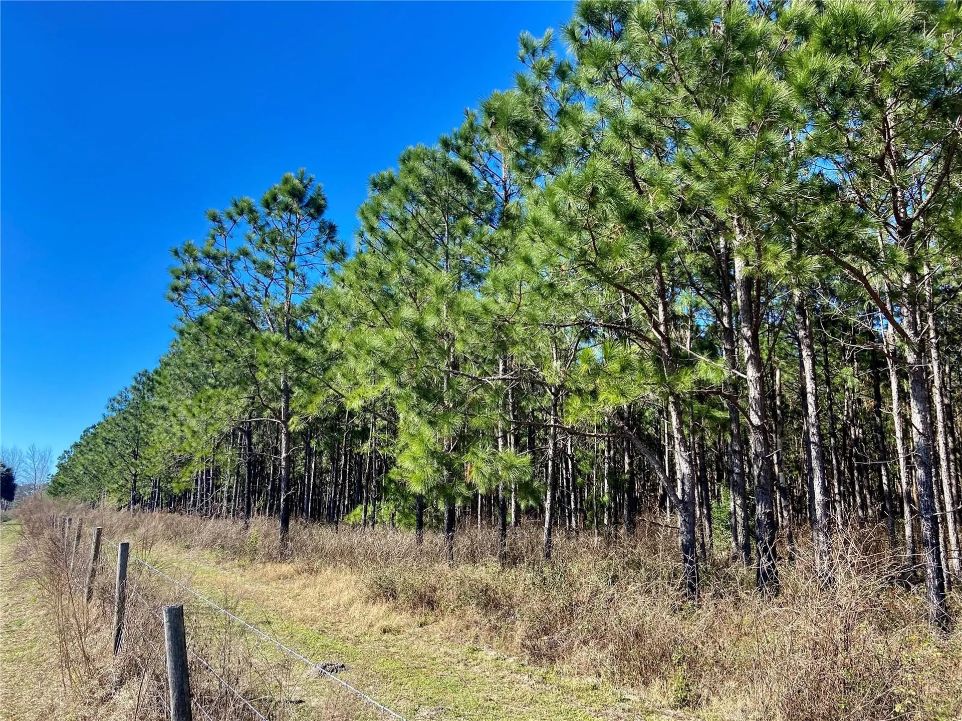01 Unnamed Spring Hill FL 34610