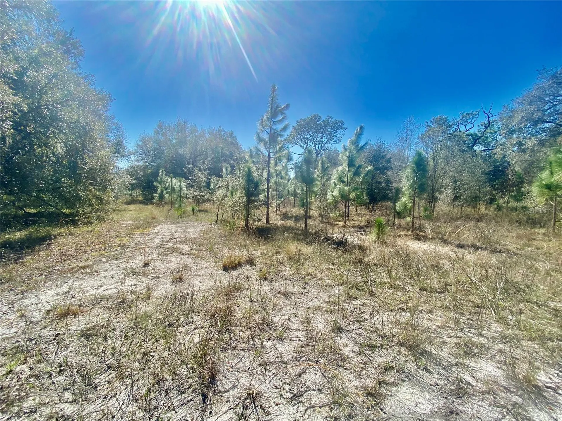 01 Unnamed Spring Hill FL 34610