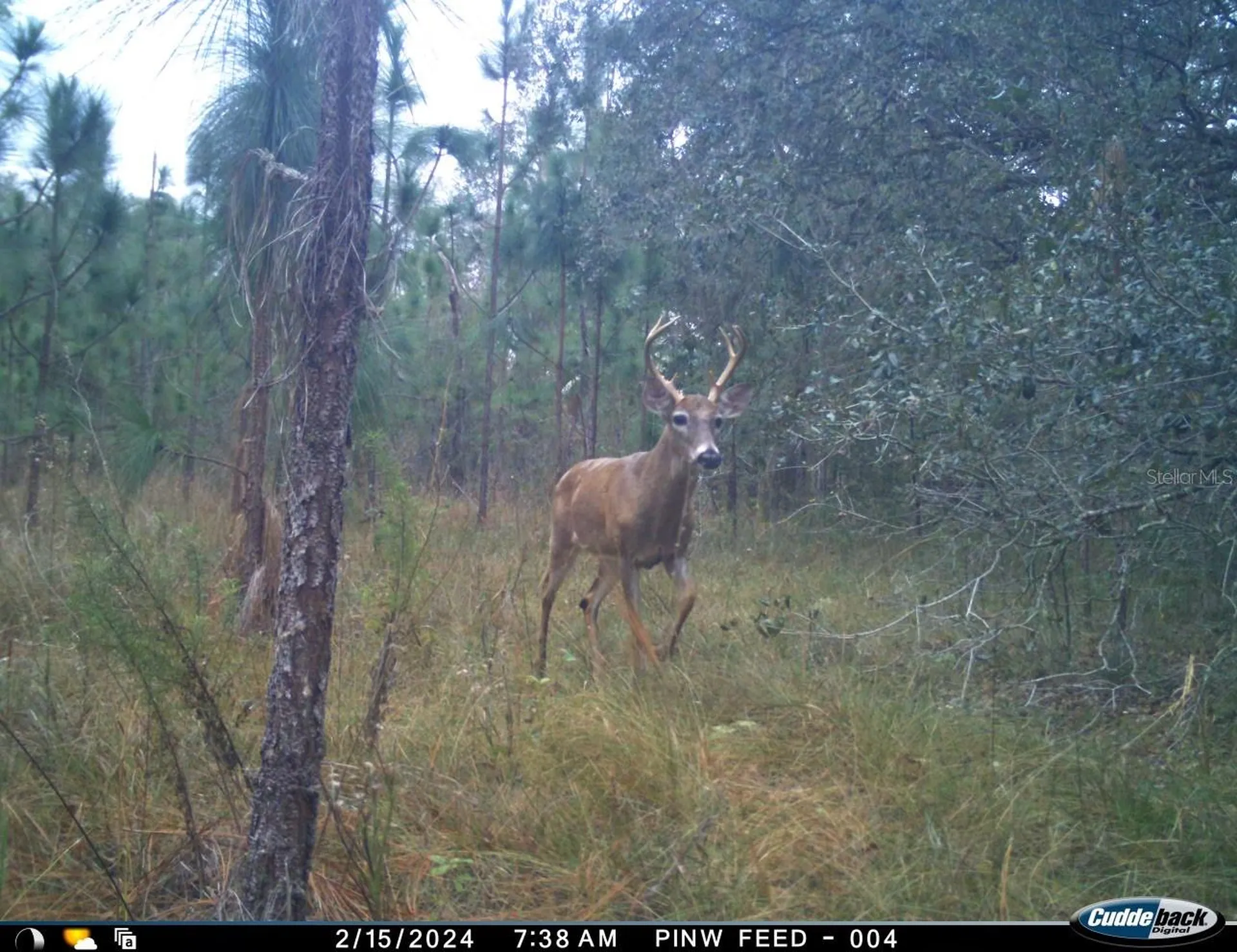 01 Unnamed Spring Hill FL 34610