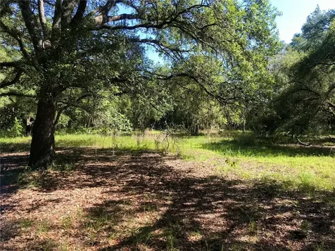 01 Unnamed Spring Hill FL 34610