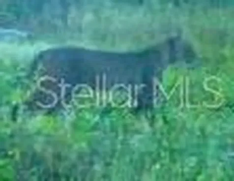 01 Unnamed Spring Hill FL 34610
