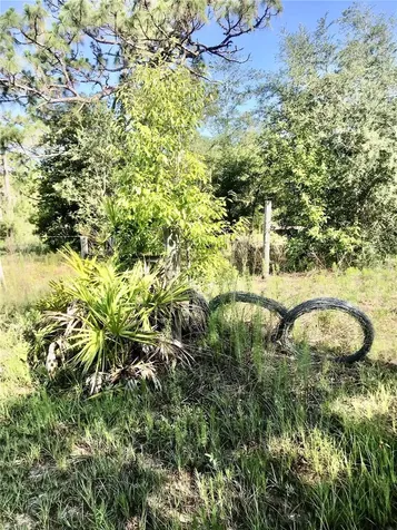 01 Unnamed Spring Hill FL 34610