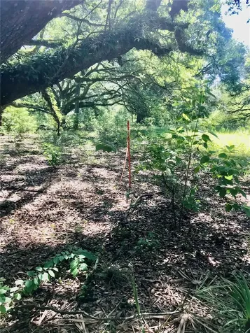 01 Unnamed Spring Hill FL 34610