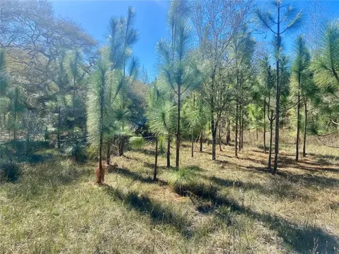 01 Unnamed Spring Hill FL 34610