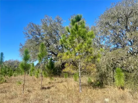 01 Unnamed Spring Hill FL 34610