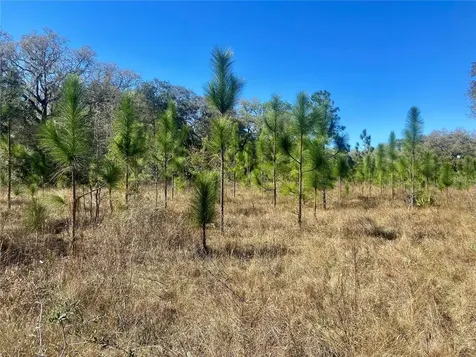 01 Unnamed Spring Hill FL 34610