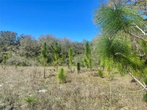 01 Unnamed Spring Hill FL 34610