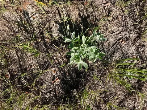 01 Unnamed Spring Hill FL 34610