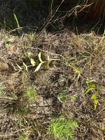01 Unnamed Spring Hill FL 34610