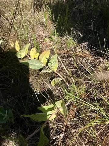 01 Unnamed Spring Hill FL 34610