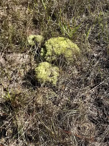01 Unnamed Spring Hill FL 34610
