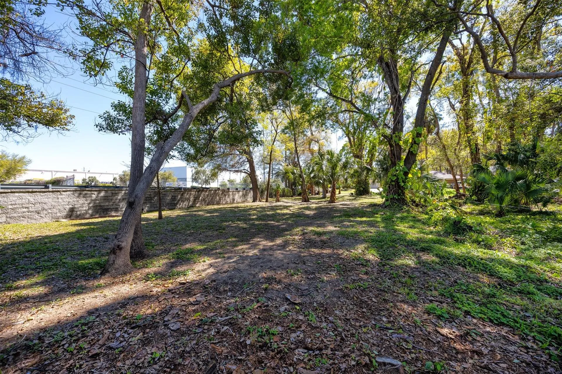 Boston Street Tarpon Springs FL 34689