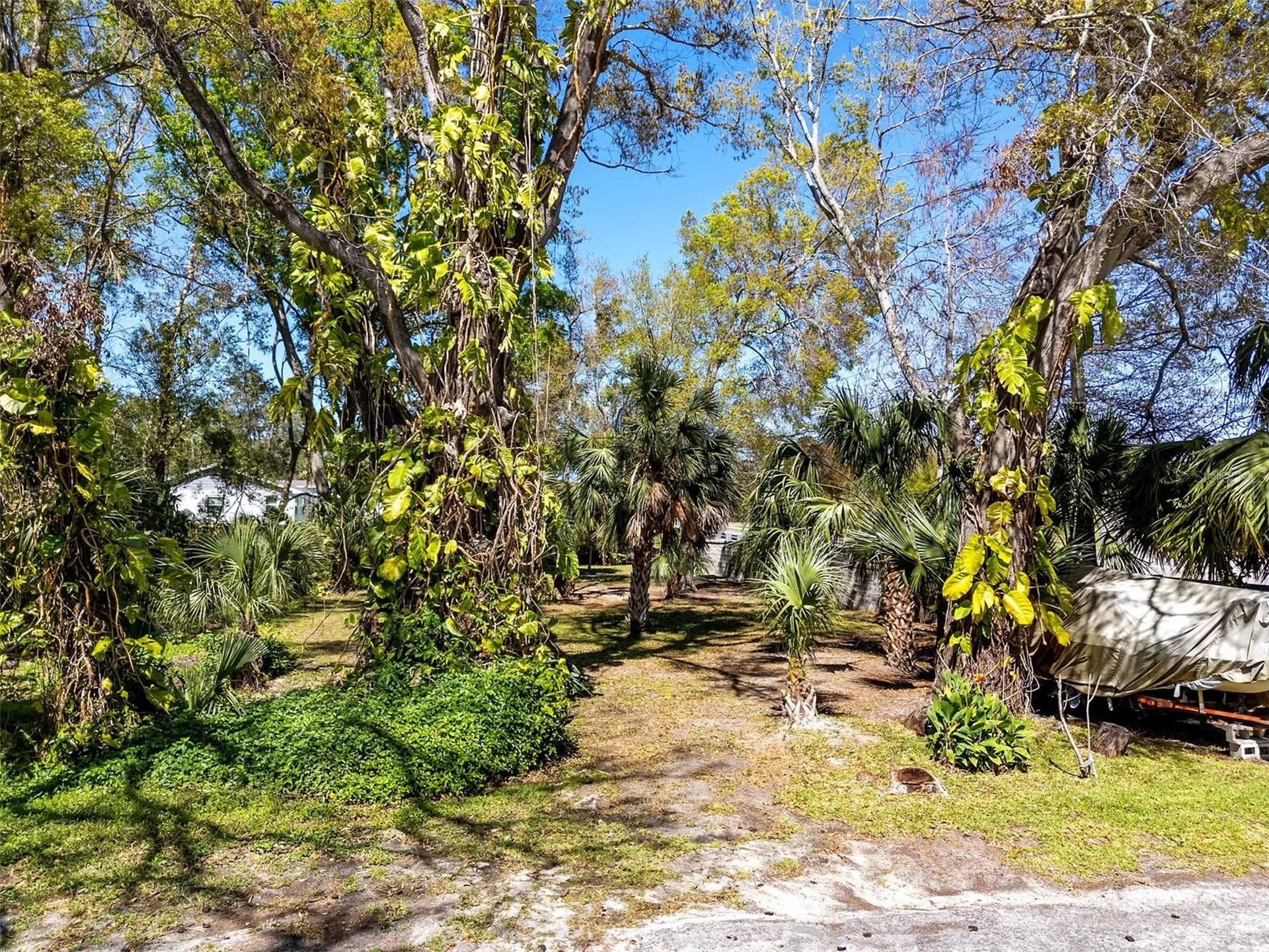 Boston Street Tarpon Springs FL 34689