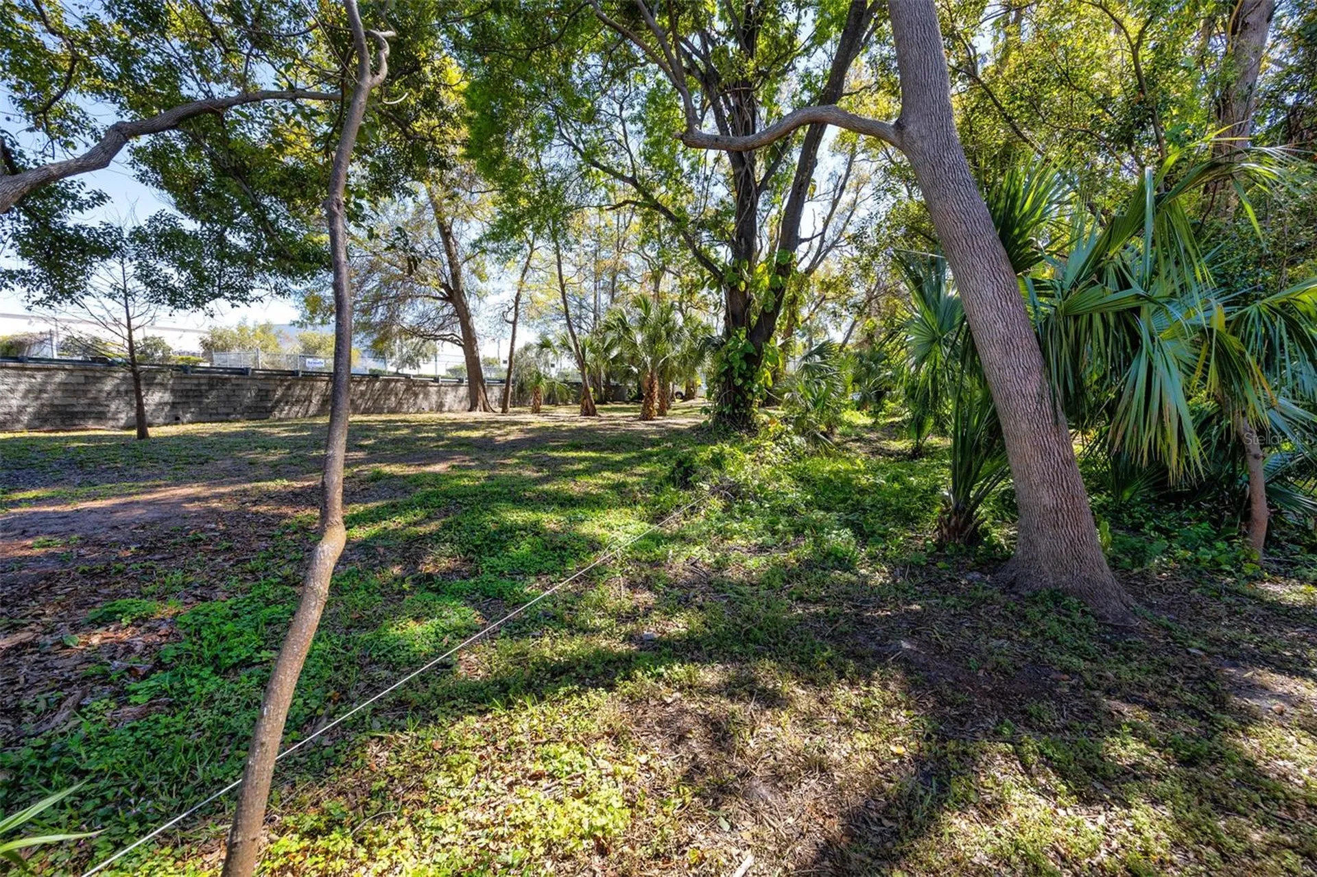 Boston Street Tarpon Springs FL 34689