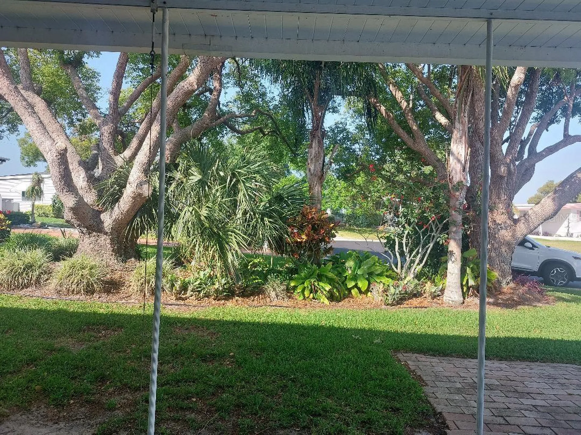 46 Washington Court Palm Harbor FL 34684