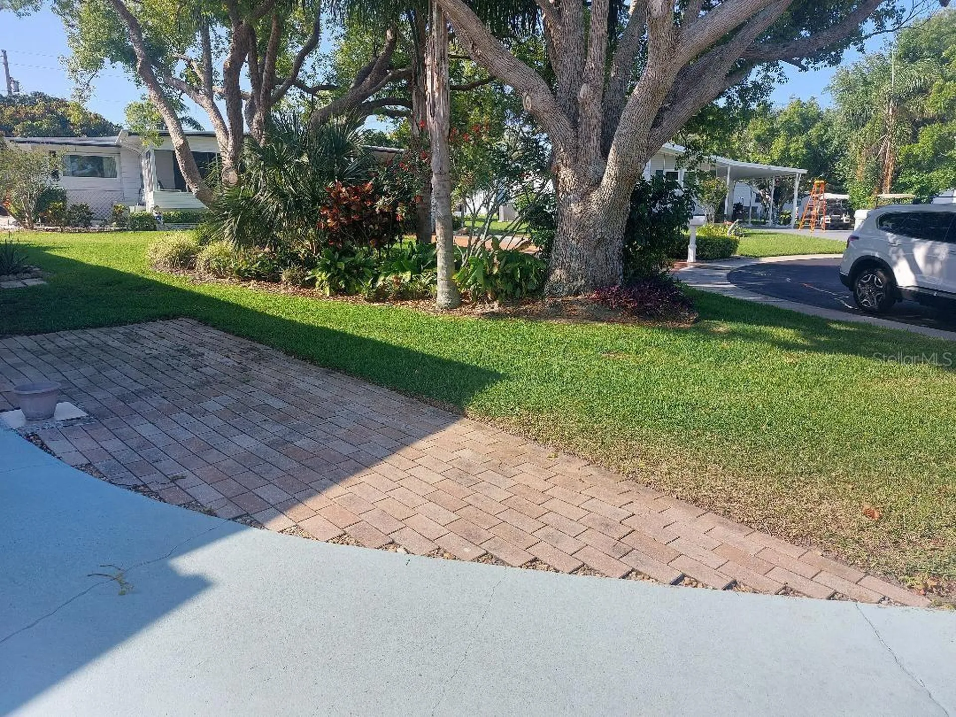 46 Washington Court Palm Harbor FL 34684