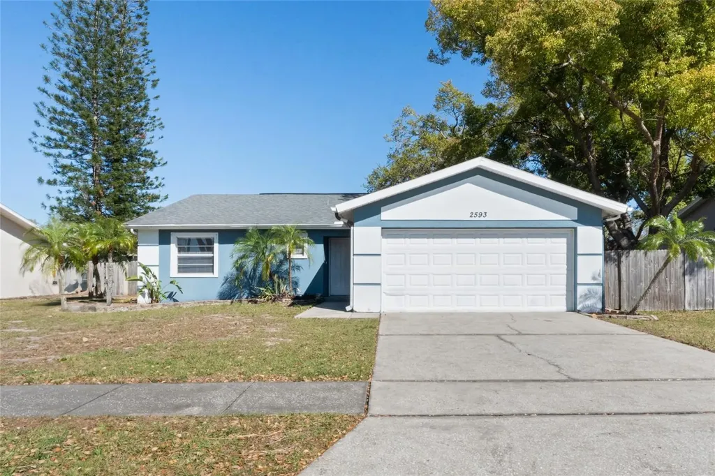 2593 Peak Street Palm Harbor FL 34683