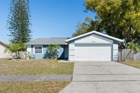 2593 Peak Street Palm Harbor FL 34683