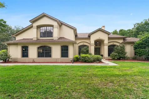 493 Hebrides Court Apopka FL 32712