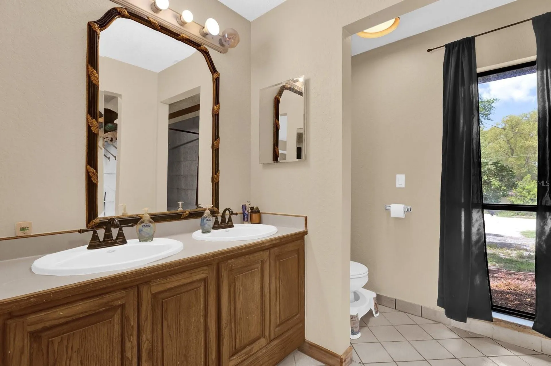 31632 Spruce Drive Eustis FL 32736