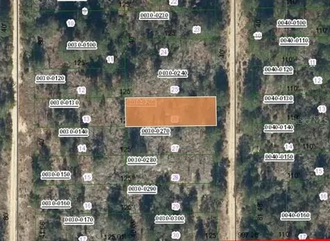 00 SW 57th Avenue Interlachen FL 32148