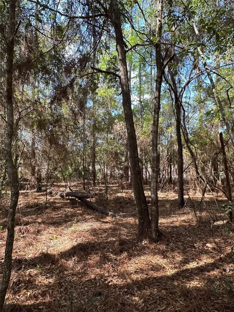 0 Courlan Road Brooksville FL 34614