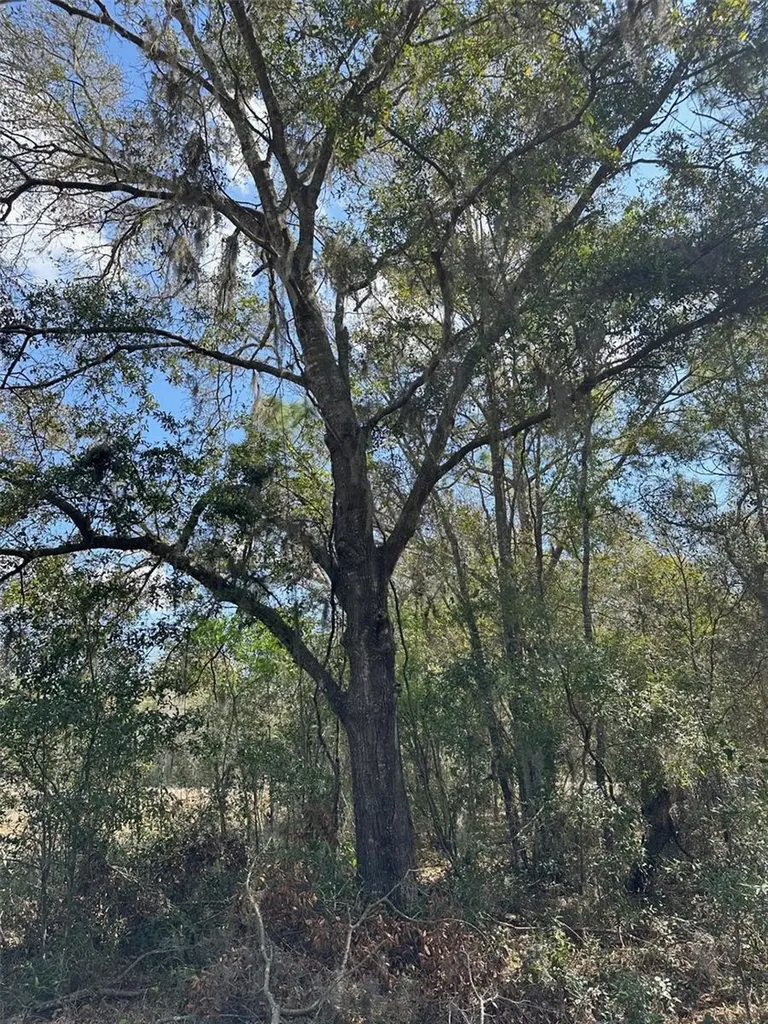 0 Courlan Road Brooksville FL 34614