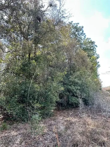 0 Courlan Road Brooksville FL 34614