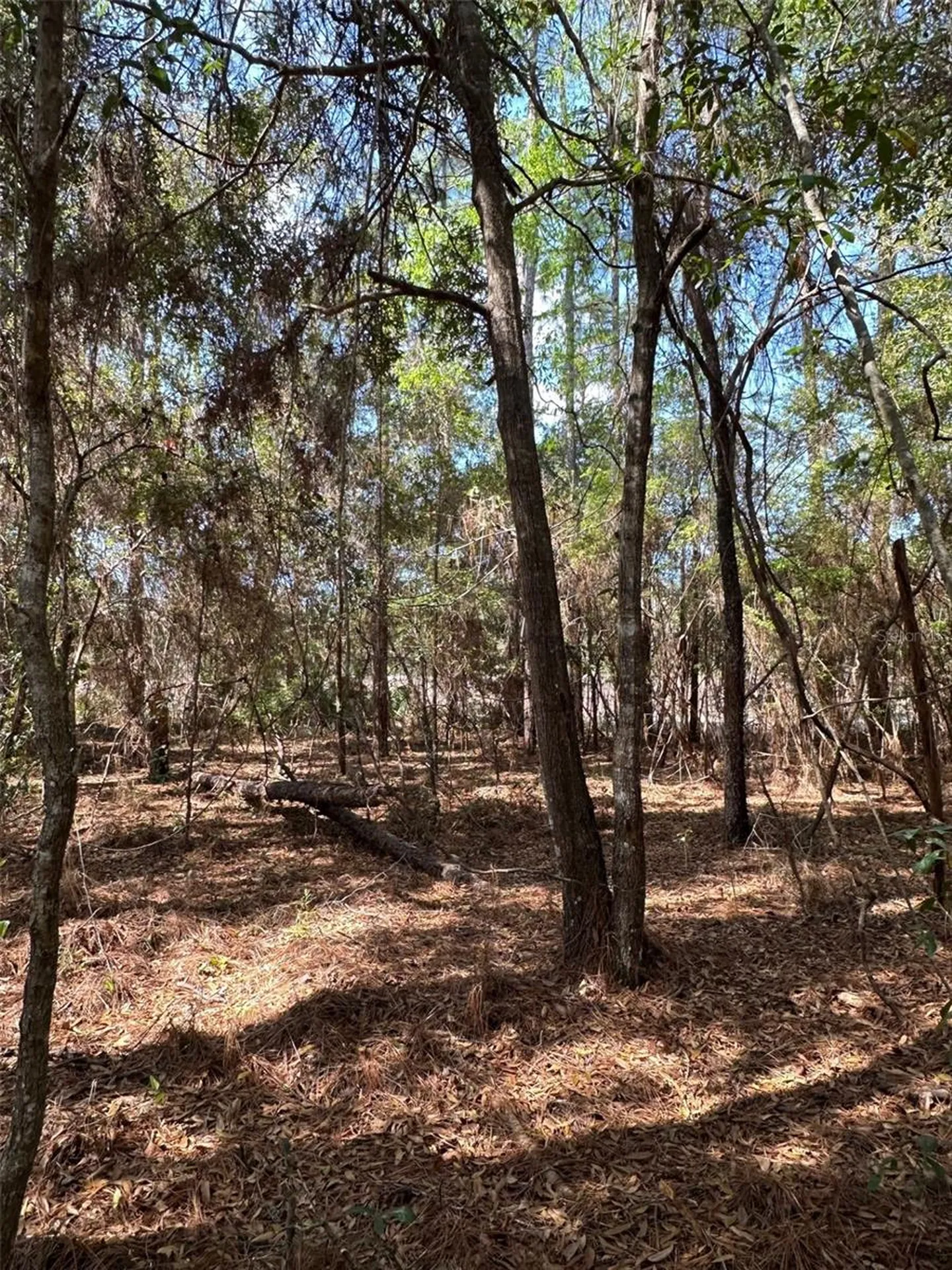0 Courlan Road Brooksville FL 34614